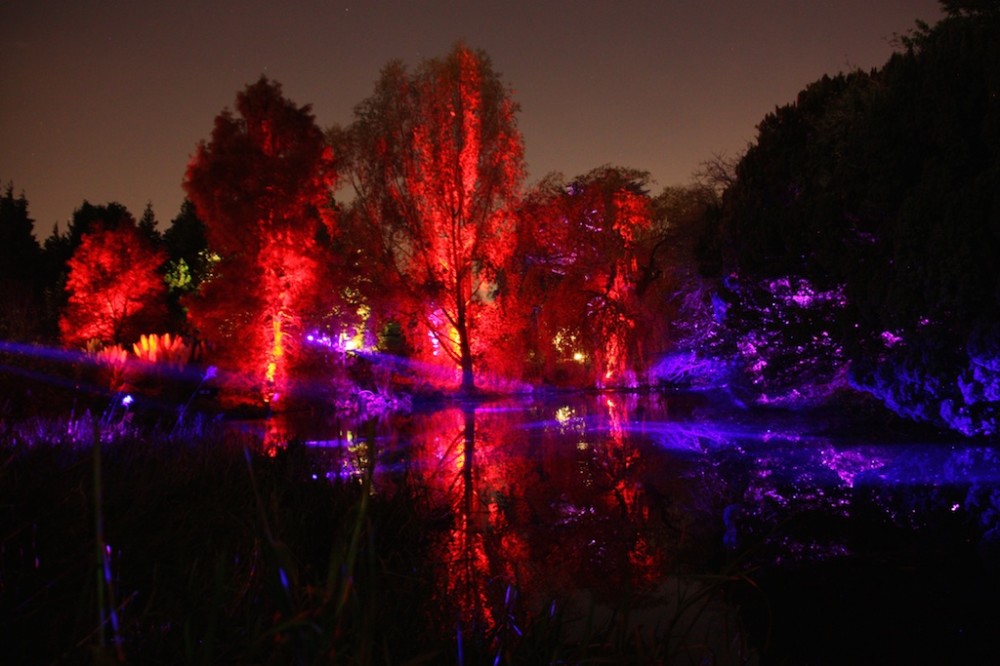 BotanicGardenNight 7