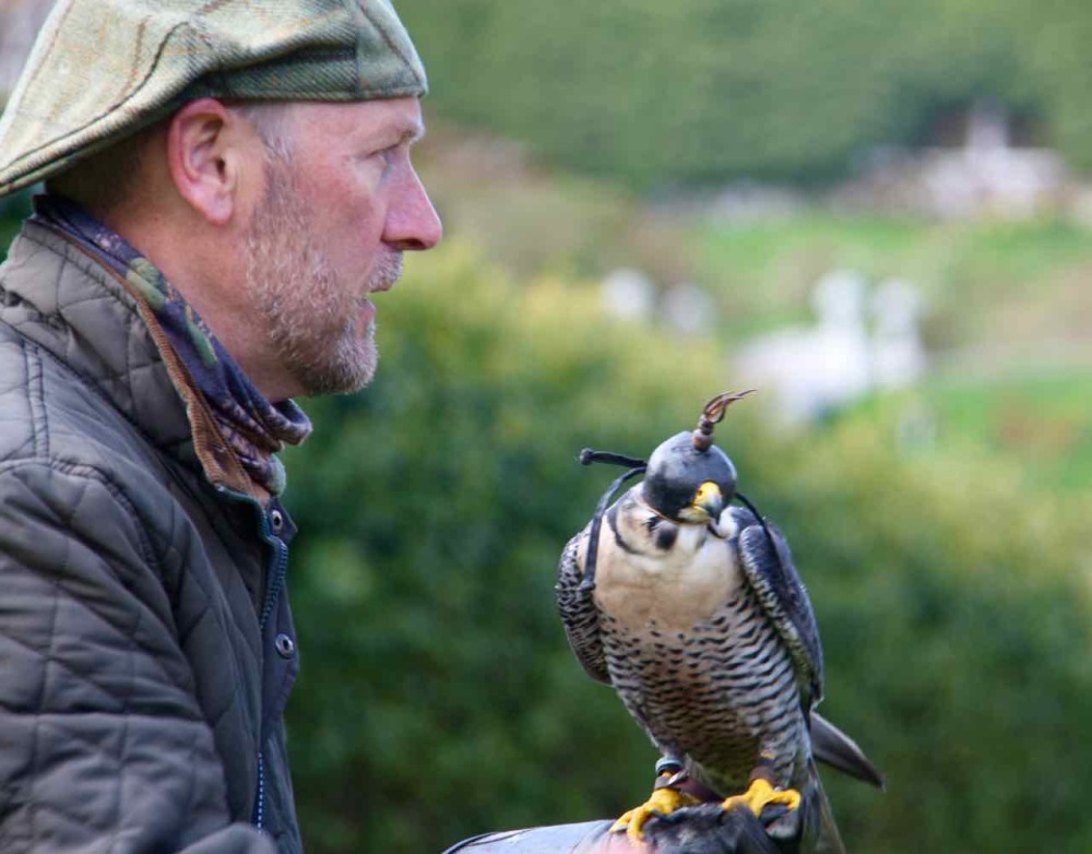 DunrobinCastleFalconry - 3