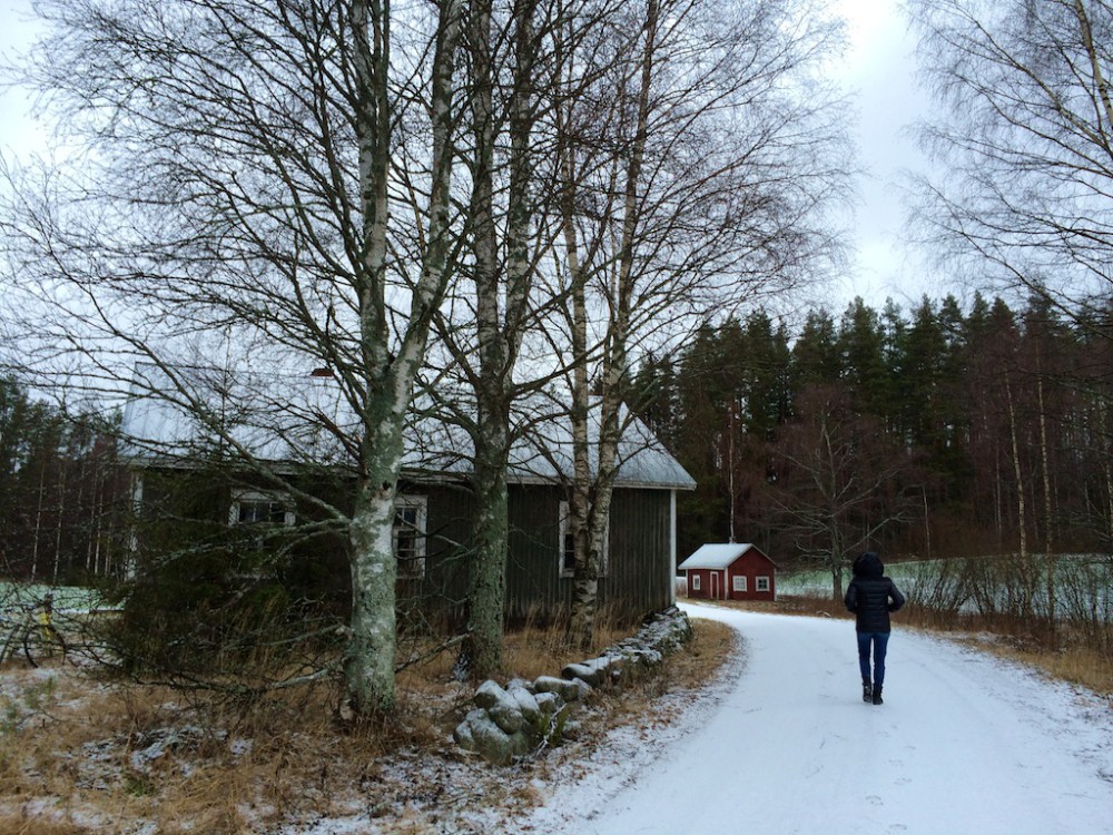 scenes from our slightly snowy walk