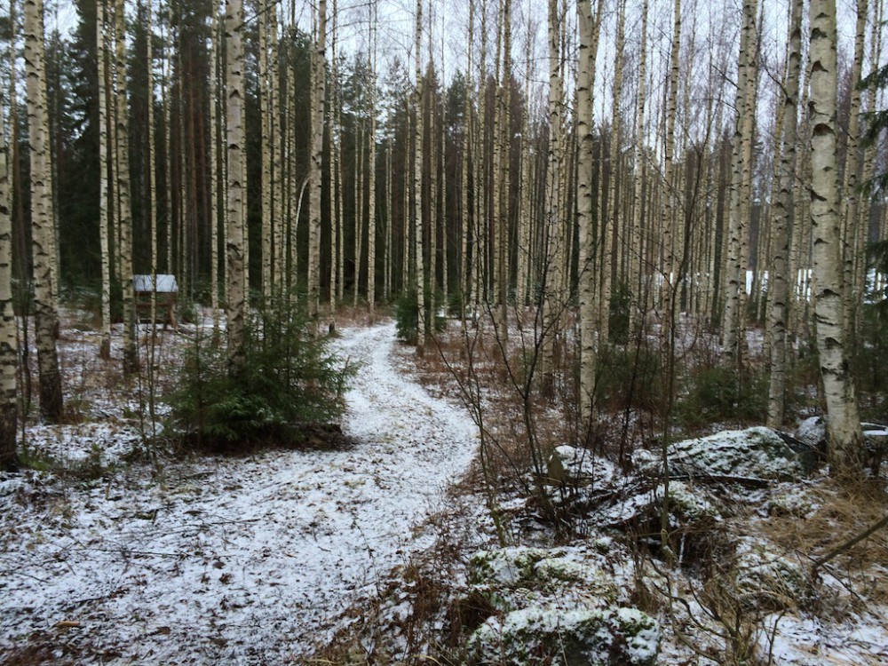 scenes from our slightly snowy walk