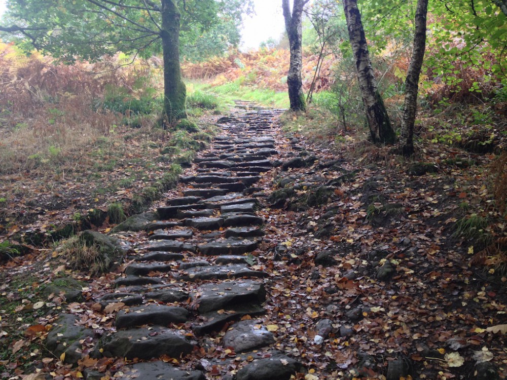 The trail to the view of Loch Lomond