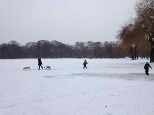 Ice Skating on Munich's Kleinhesseloher See