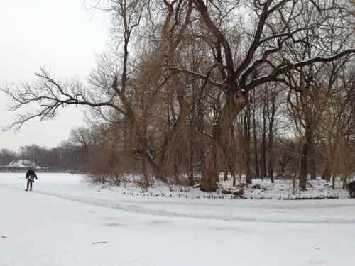 one of the islands in the lake, with a little ice path cleared around it