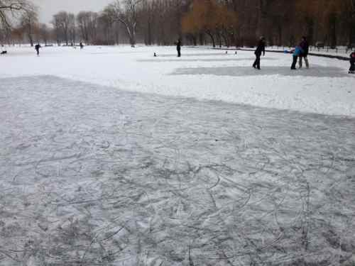 someone was nice enough to clear off the snow for us