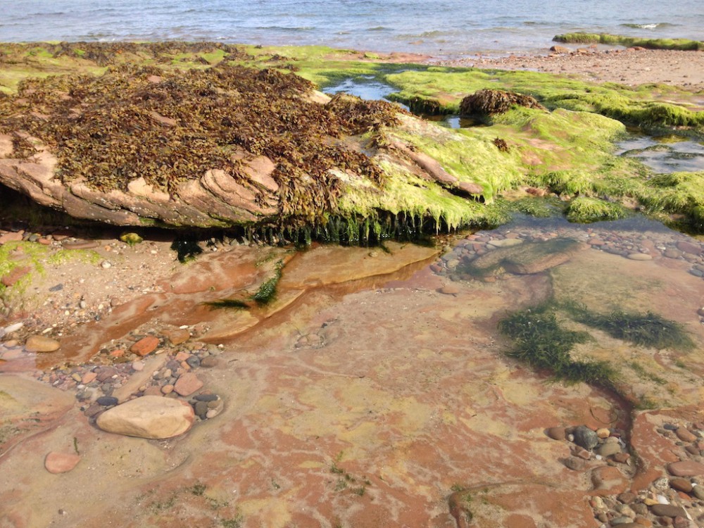 Rock pools on the beach in Nairn, Scotland