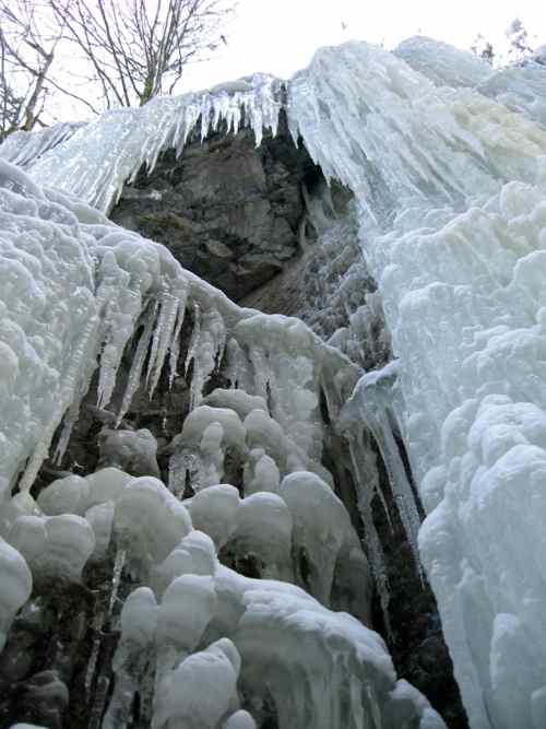 icicles above us