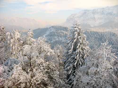 the view from the hut