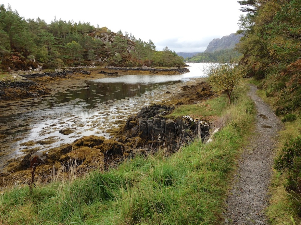 Plockton 4