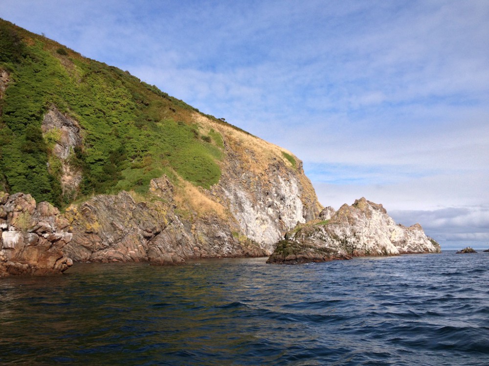 Scotland, Moray Firth, view from the boat