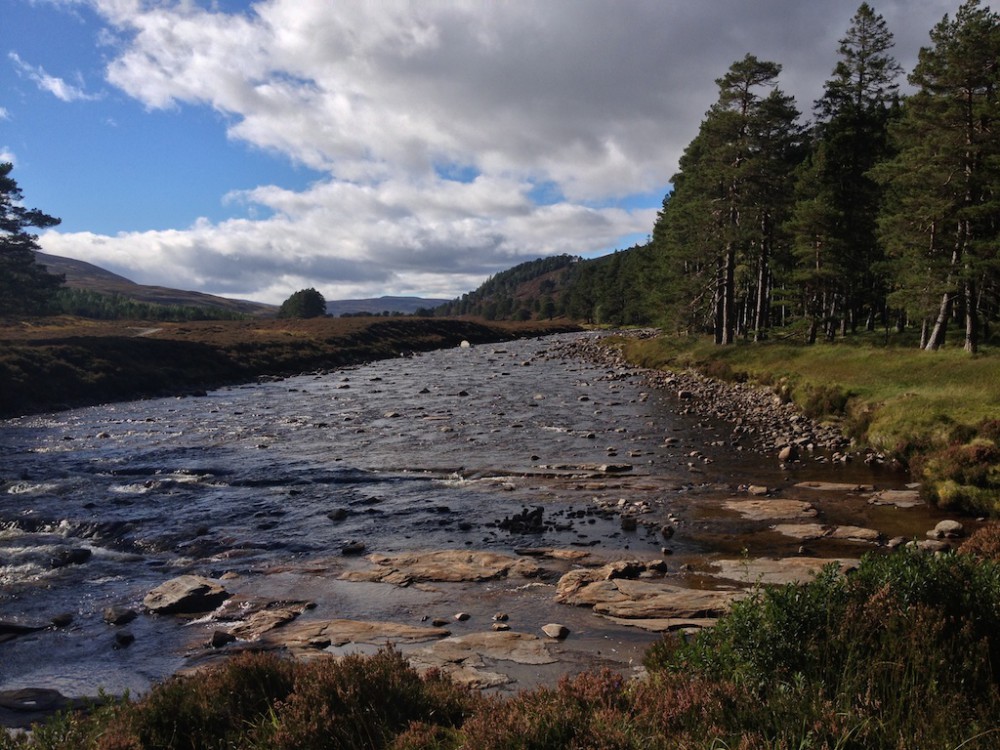 Linn of Dee