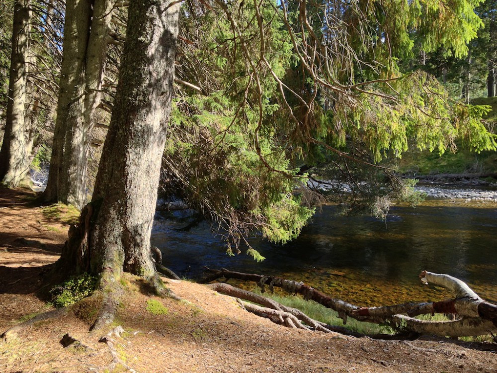 Linn of Dee, Scotland