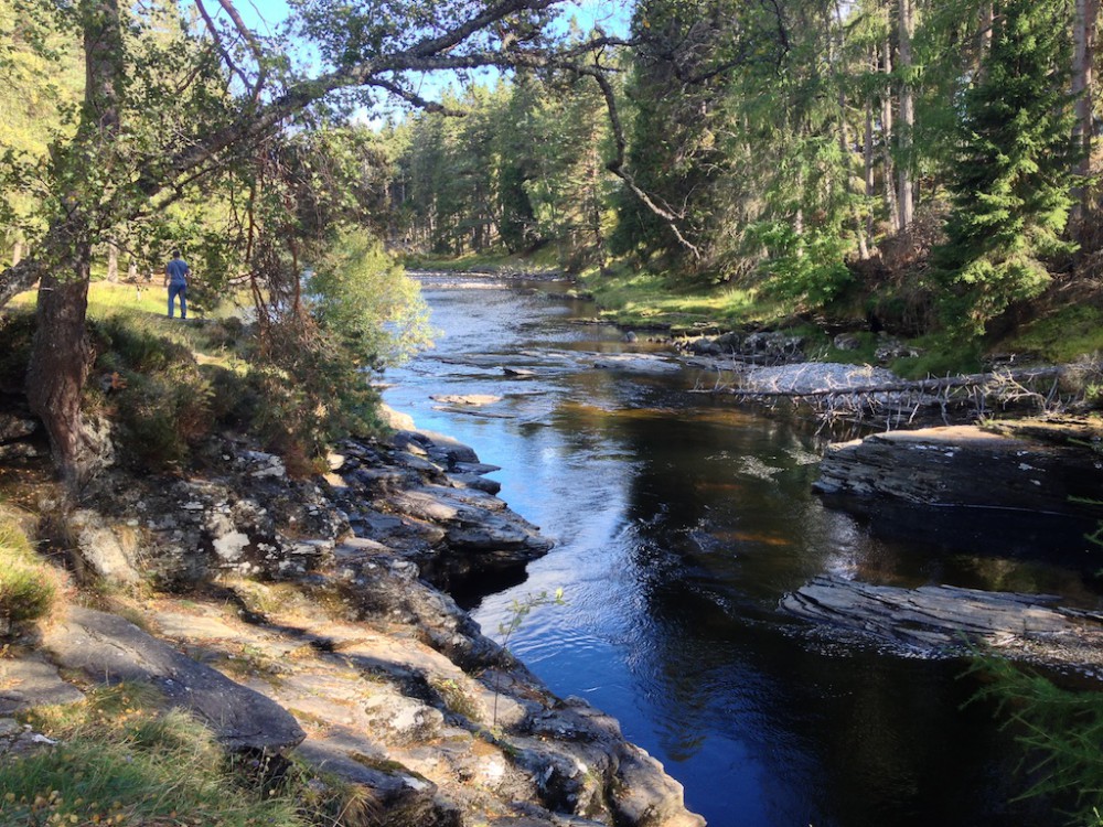 walking by the River Dee 