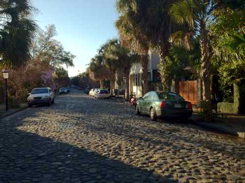 cobblestones and palm trees in Charleston