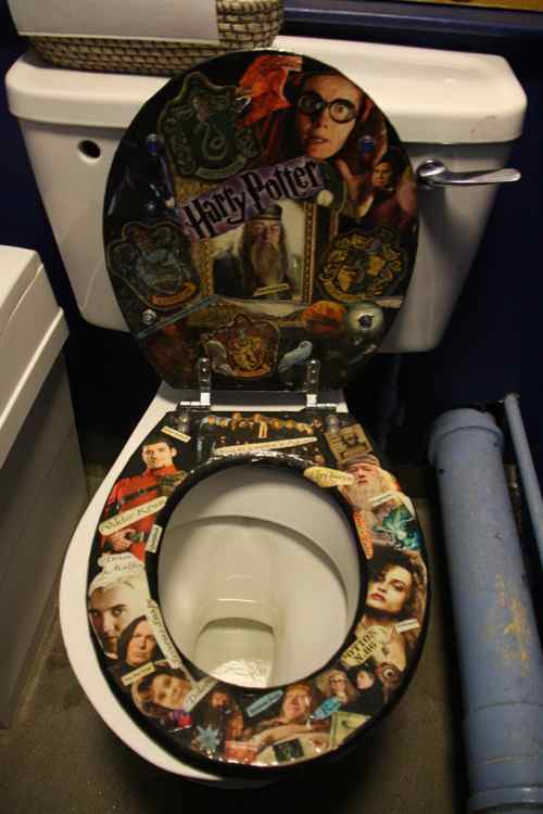 Harry Potter's magical fan toilet