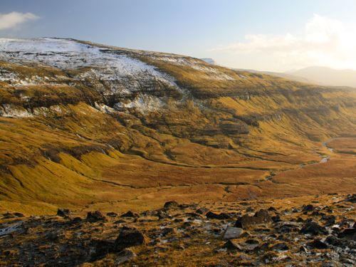 frosted hills