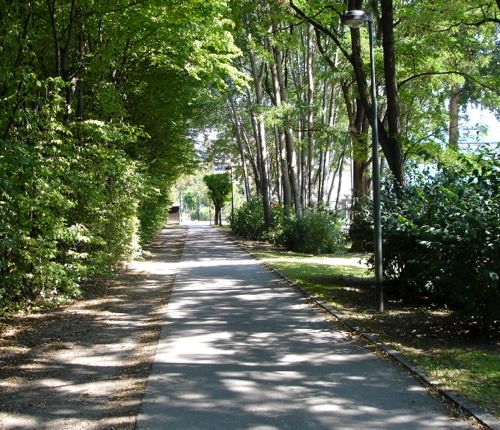 Paved path in Innsbruck surrounded by trees