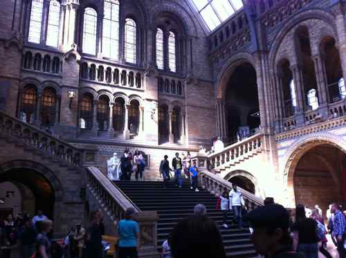 Museum of Natural History, London