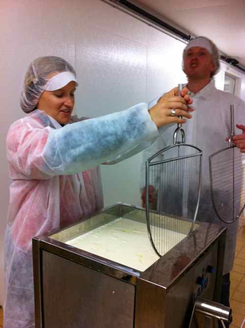 making cheese in Austria