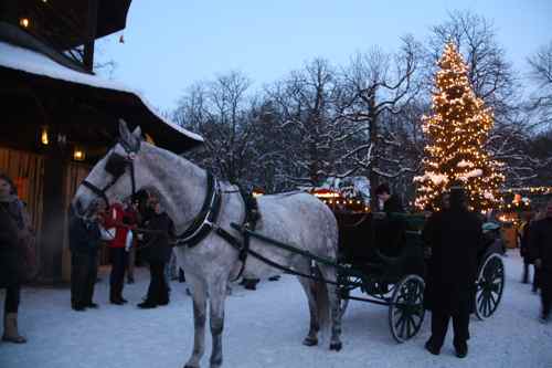 a white horse pulls a sleigh at the Chinese Tower Christmas market